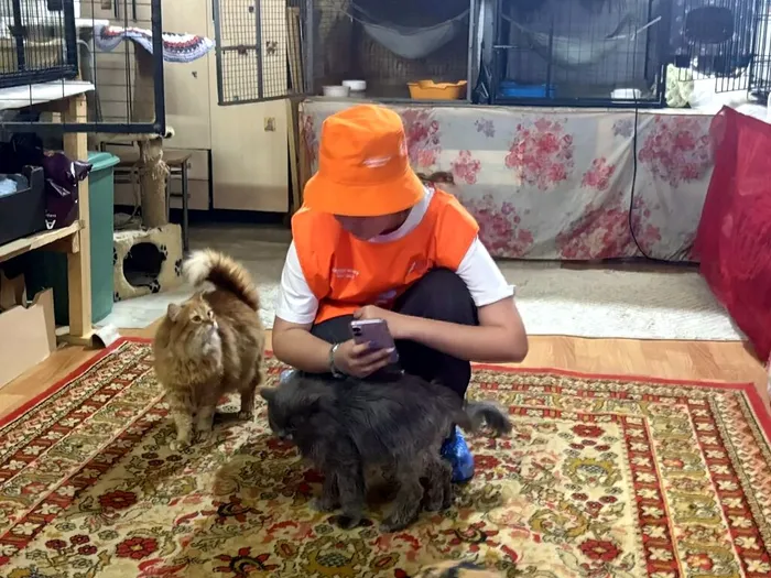 s03Ne9SPCVuuEK9BjaMmU6_6_Svyk4R3G-Gjb8u-H45j_S8YsVENut78Vi1Bweitk5yzcPJ-pRdw1dFNDy3hQ9TO
